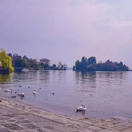 Апартаменты Maggiore 2 *